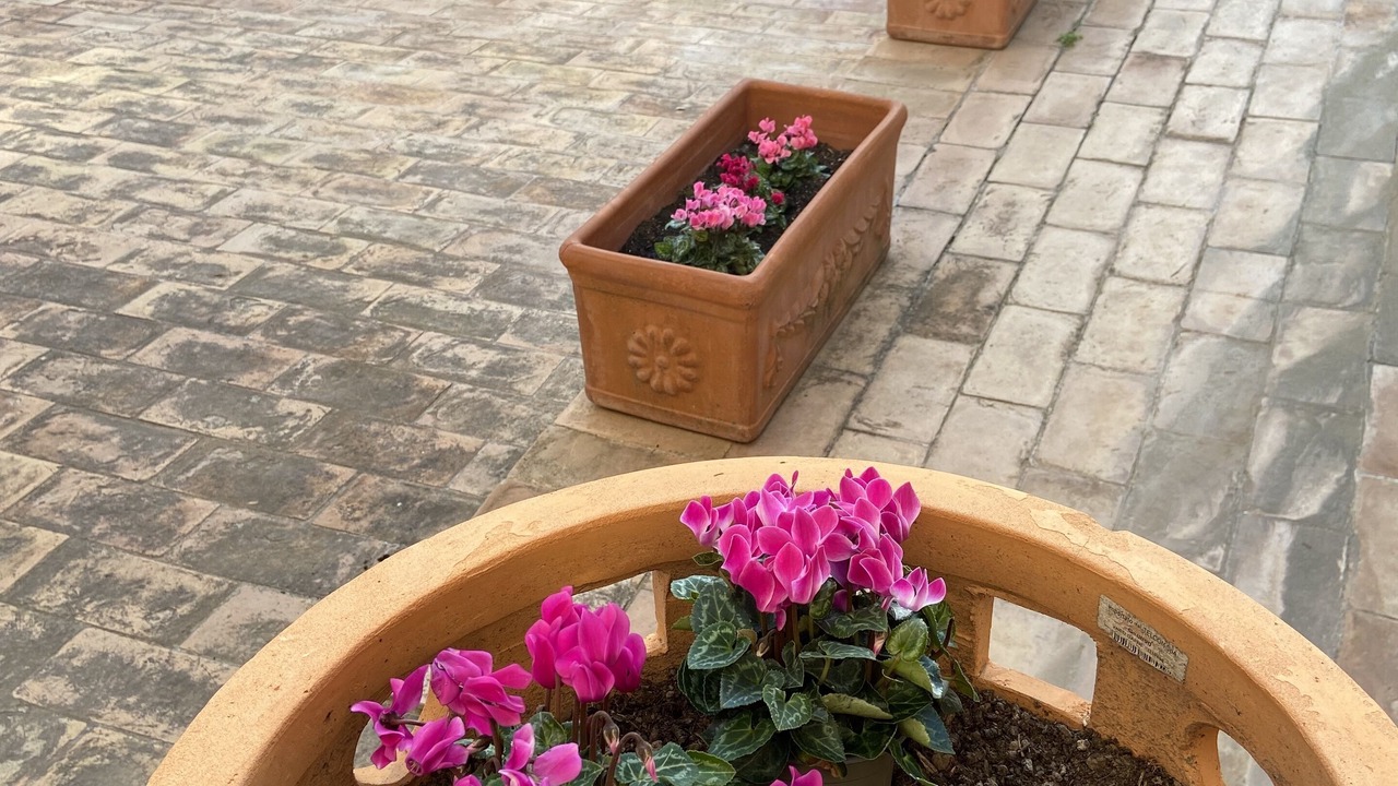 Photo of Outdoor in Precetto