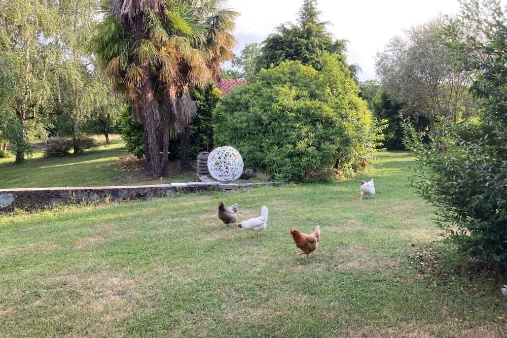 Photo of Outdoor in Agrate