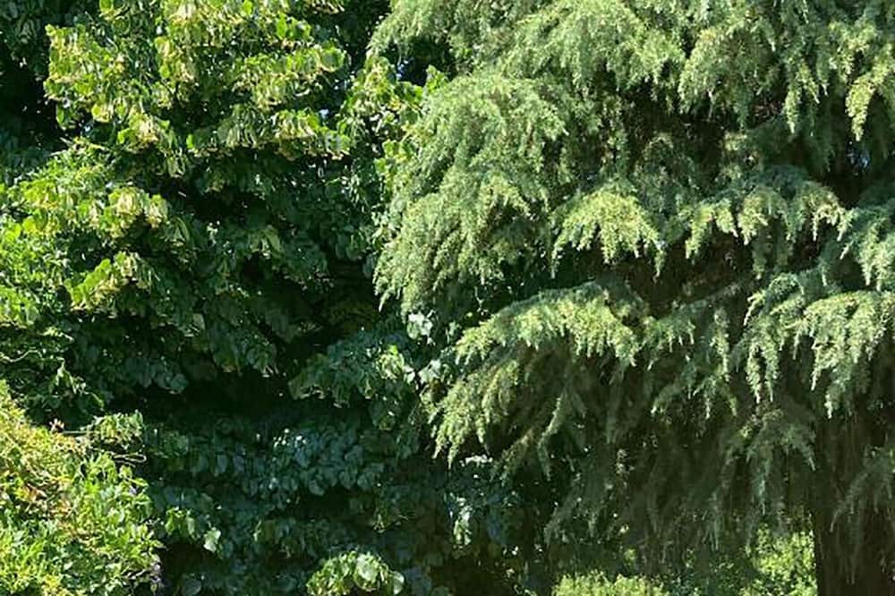 Photo of Outdoor in Agrate