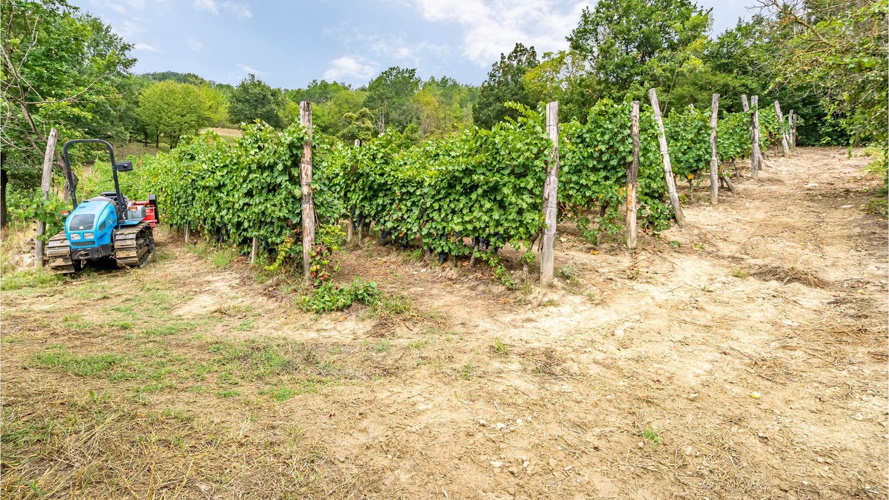 Photo of Outdoor in Orbregno