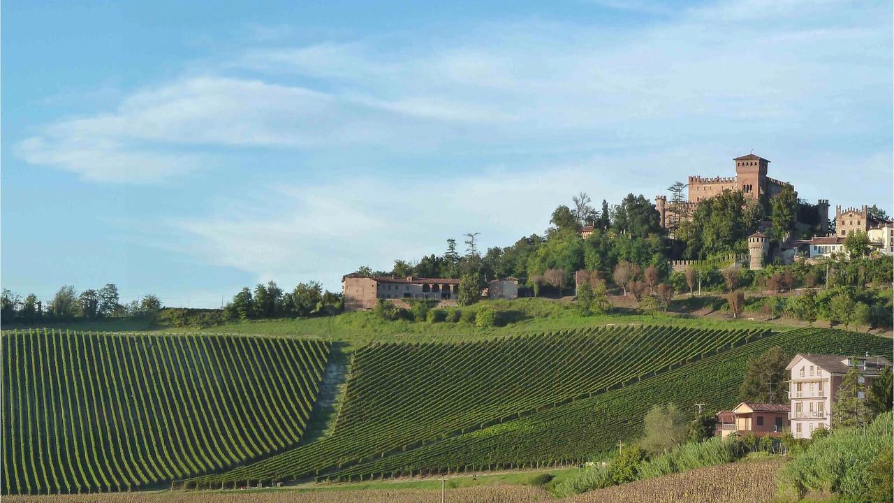 Photo of Others in Orbregno