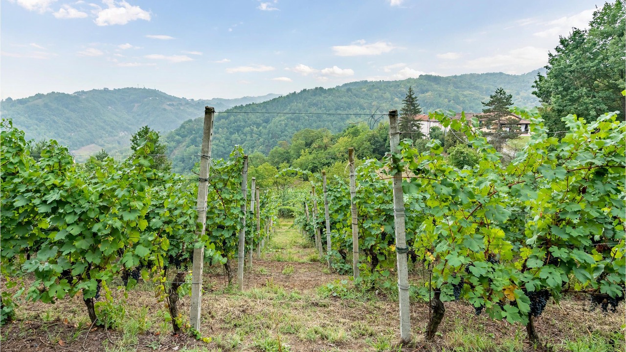 Photo of Outdoor in Orbregno