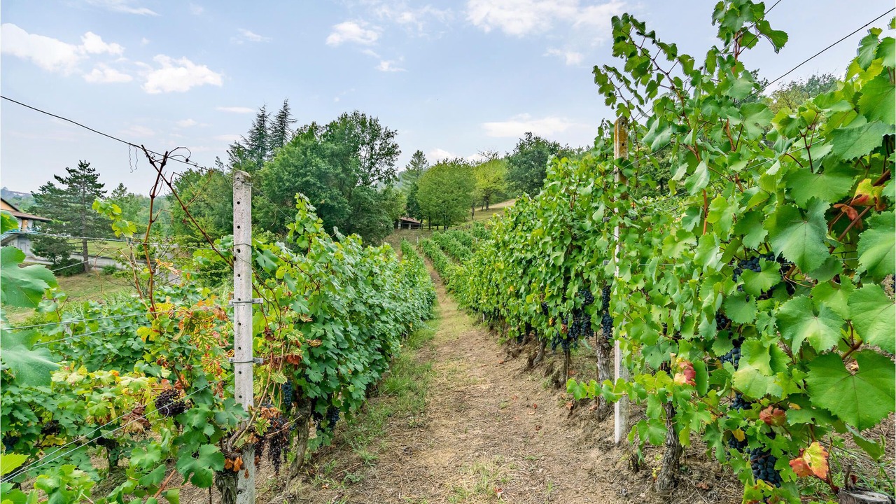 Photo of Outdoor in Orbregno