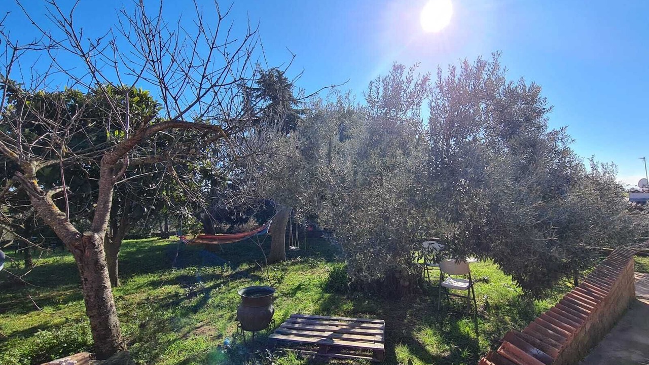 Photo of Outdoor in Ardea
