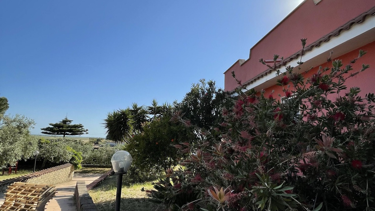 Photo of Outdoor in Ardea