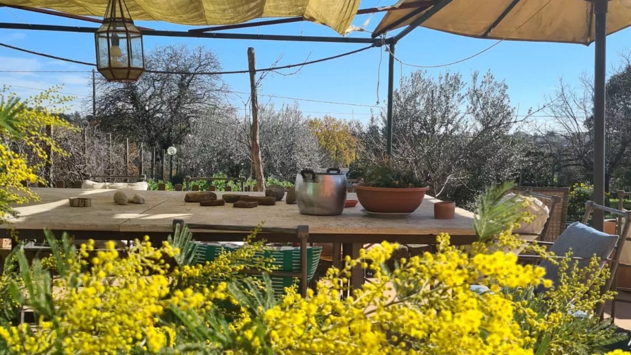 Photo of Outdoor in Ardea