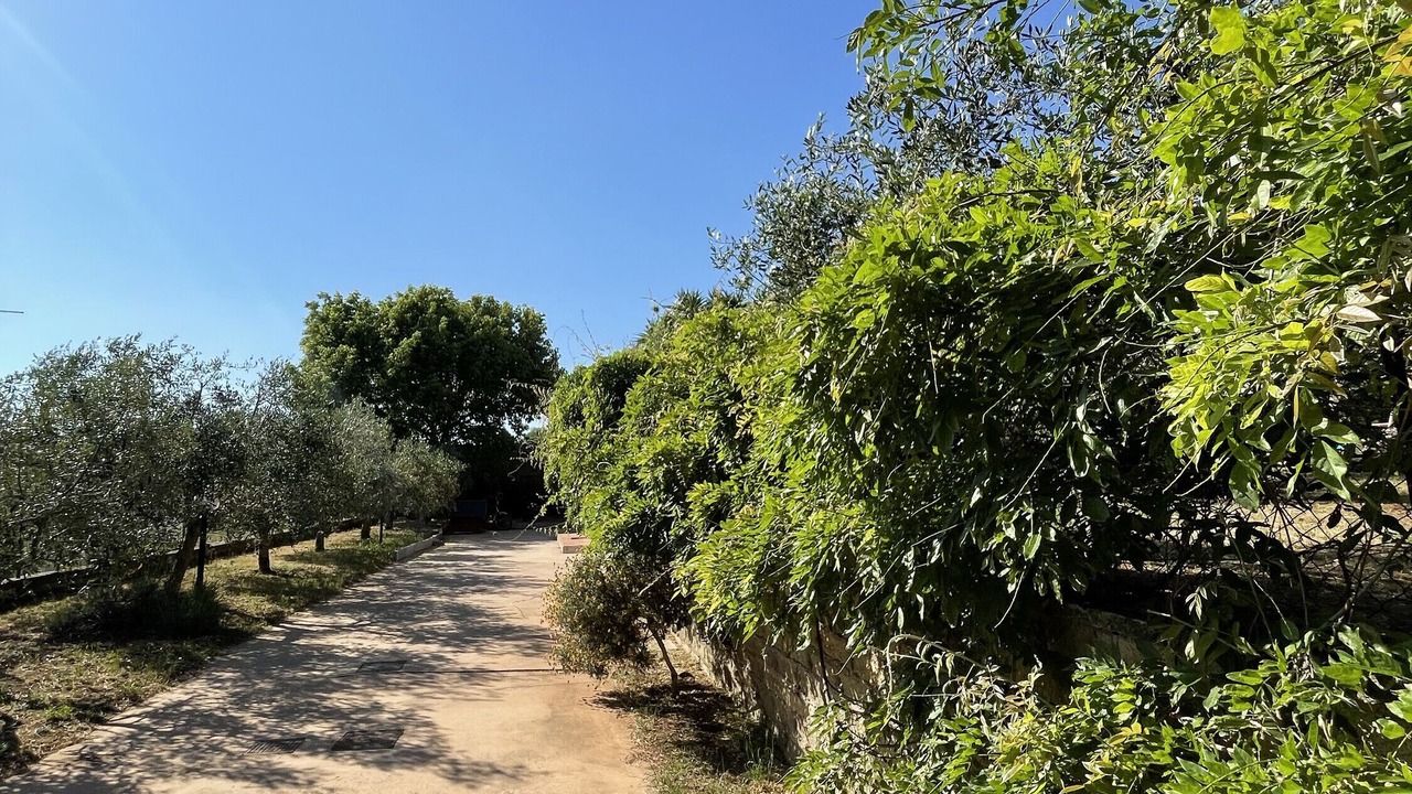 Photo of Outdoor in Ardea