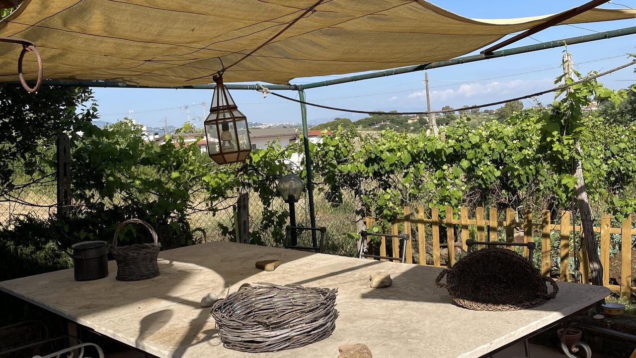 Photo of Outdoor in Ardea