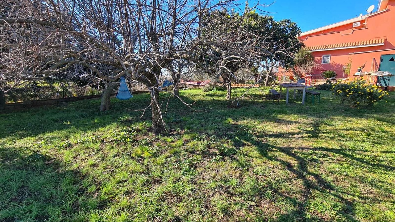 Photo of Outdoor in Ardea