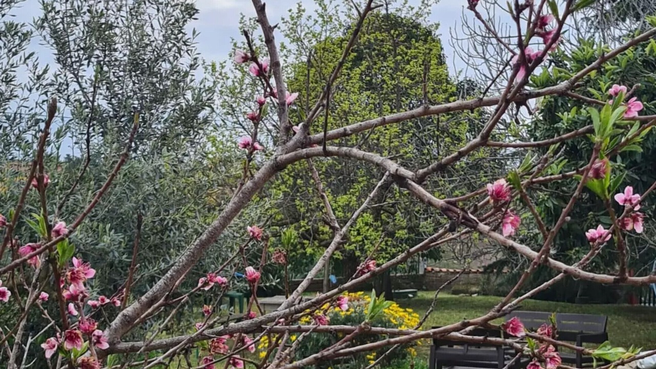 Photo of Outdoor in Ardea