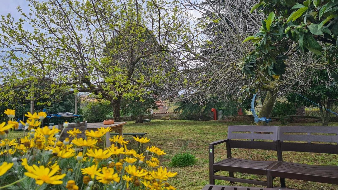 Photo of Outdoor in Ardea