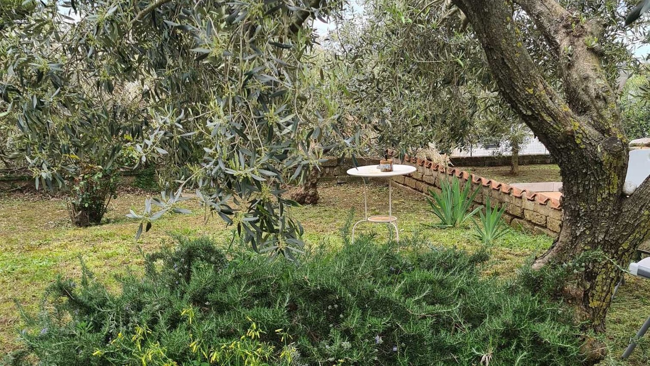Photo of Outdoor in Ardea