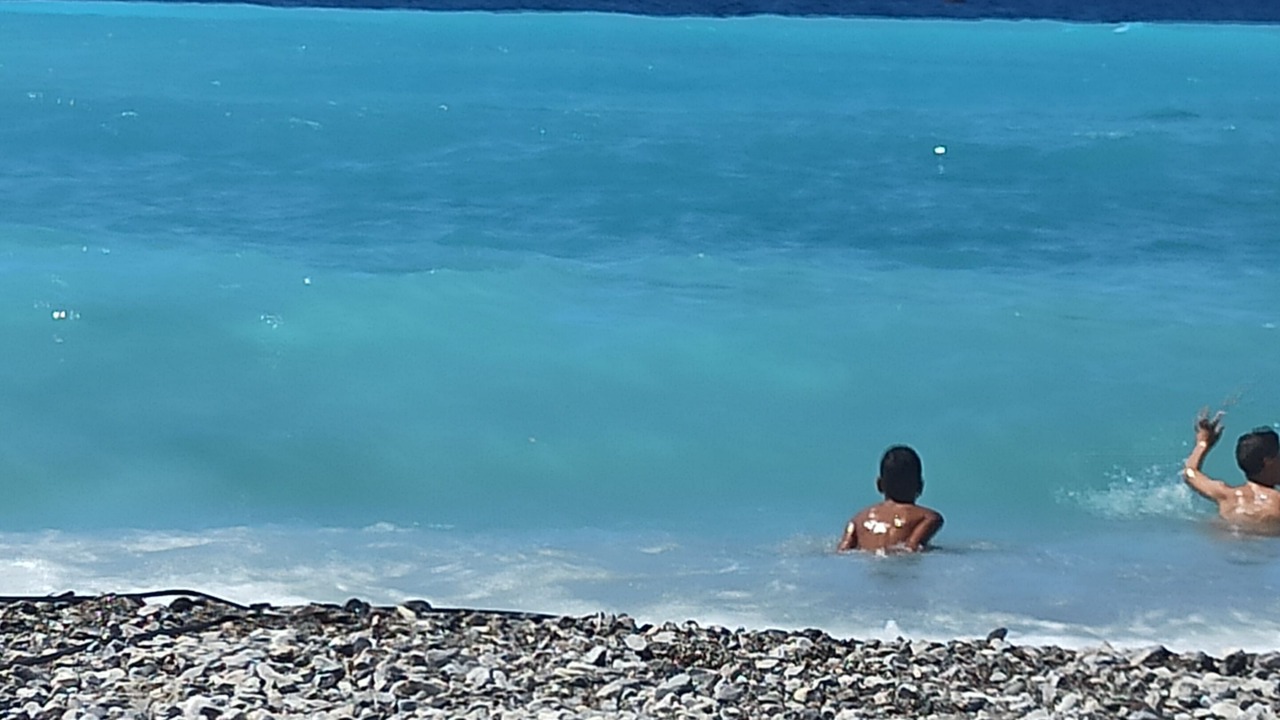Photo of Others in Sori