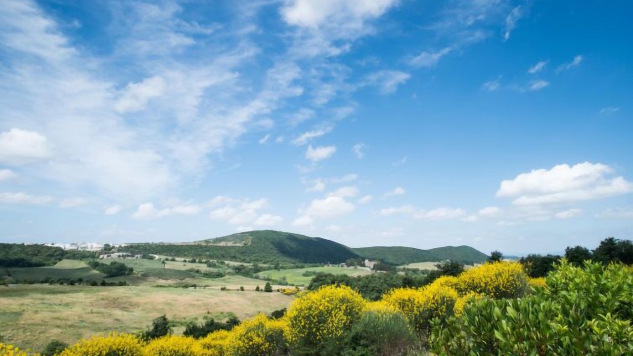 Photo of Outdoor in Trequanda