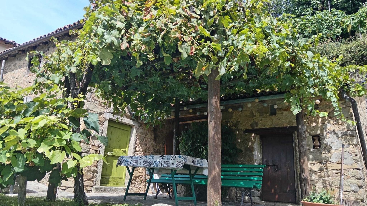 Photo of Outdoor in Pieve Fosciana