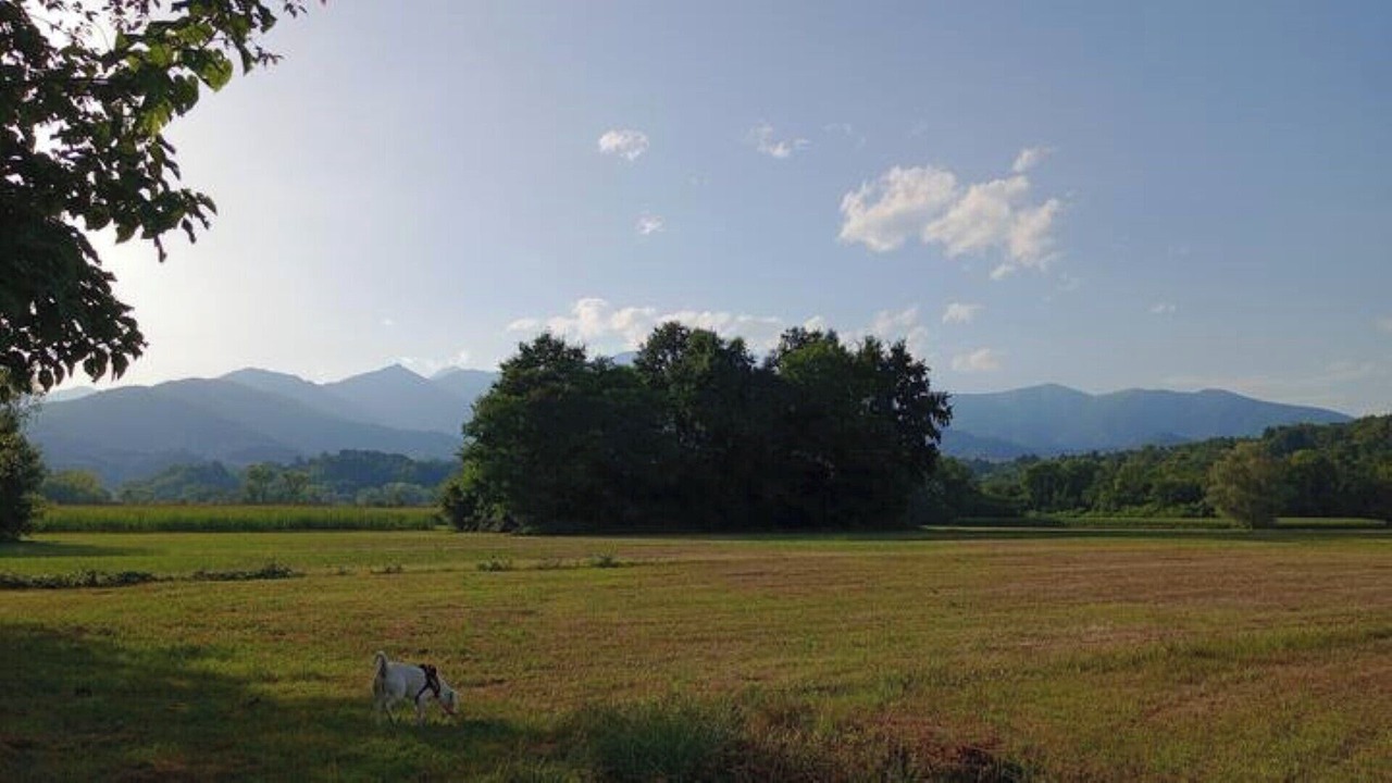 Photo of Others in Levone