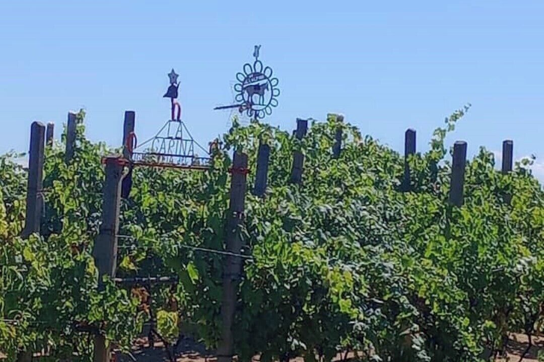 Photo of Outdoor in Levone