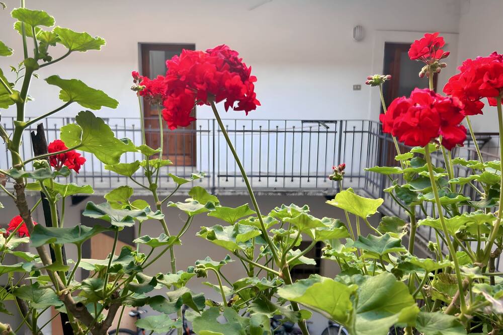 Photo of Patio Balcony in Gorizia