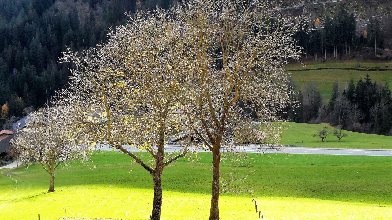 Photo of Others in Ponte nelle Alpi