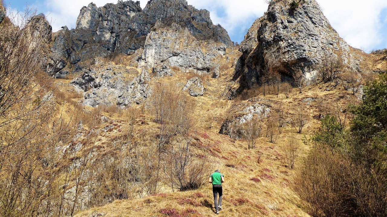 Photo of Others in Ponte nelle Alpi