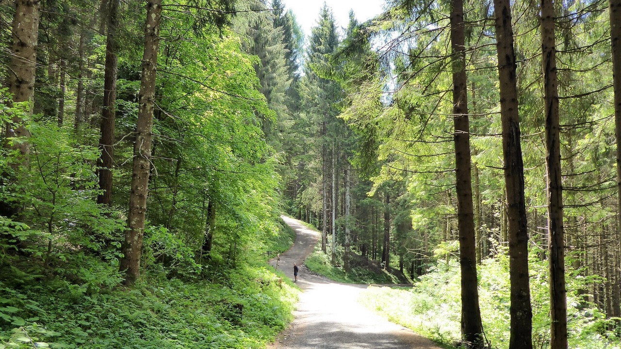 Photo of Outdoor in Ponte nelle Alpi