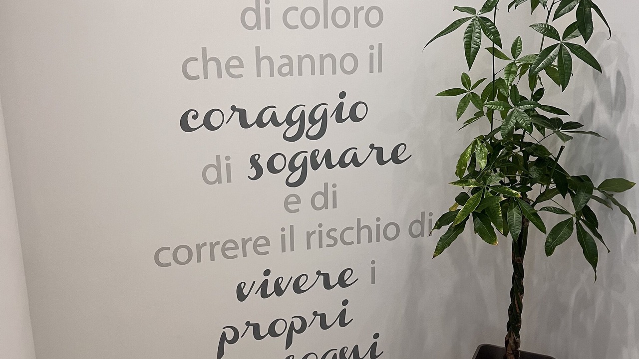 Photo of Others in Cisterna d'Asti
