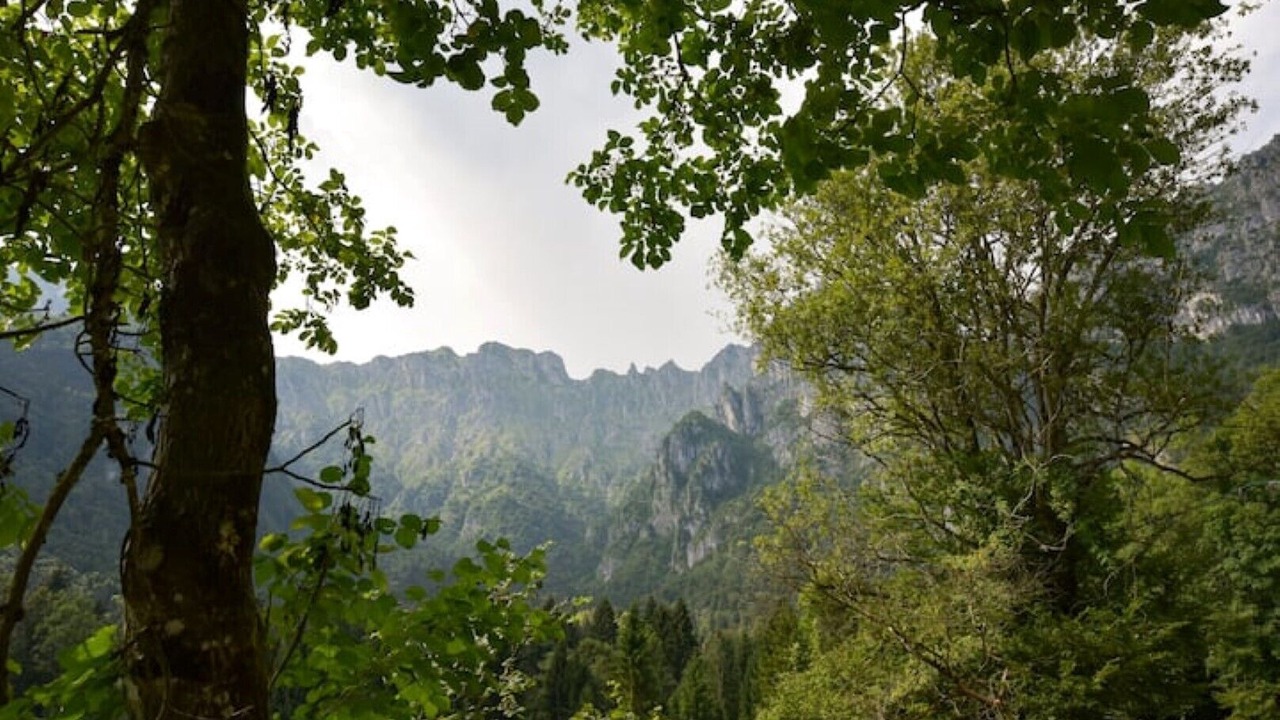 Photo of Outdoor in Feltre