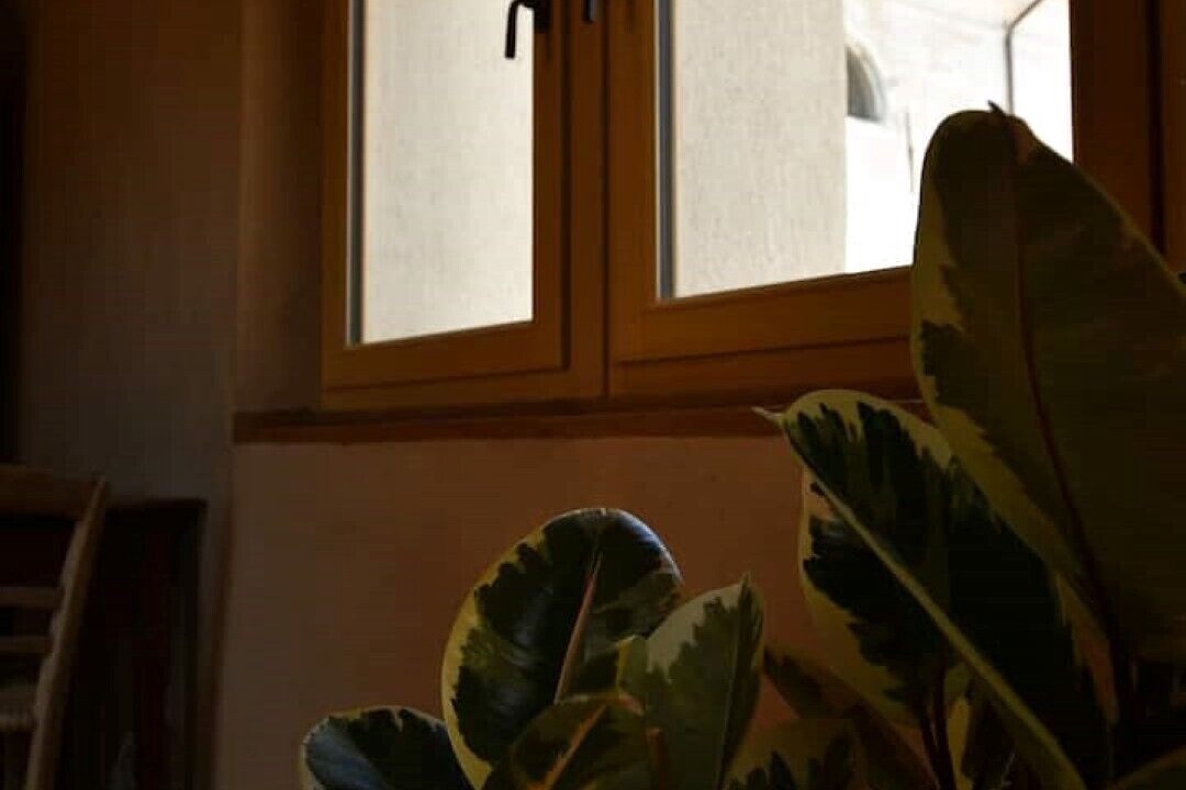 Photo of Others in Feltre