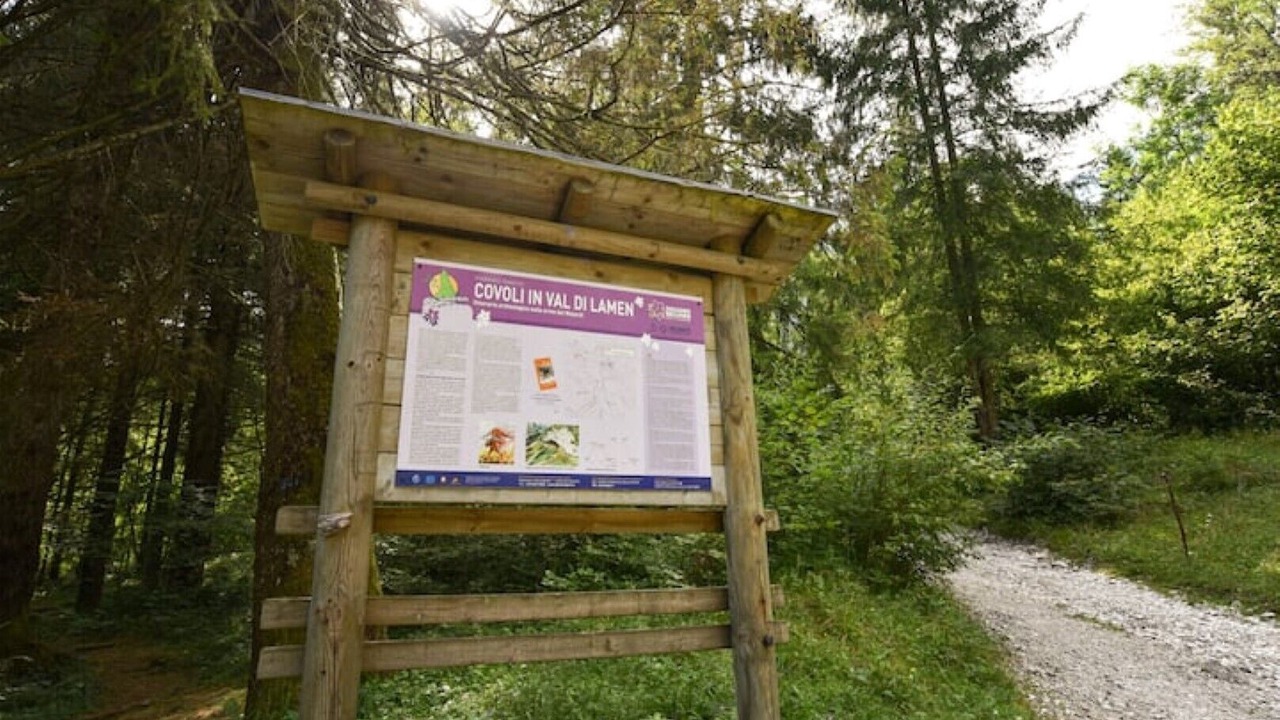 Photo of Outdoor in Feltre
