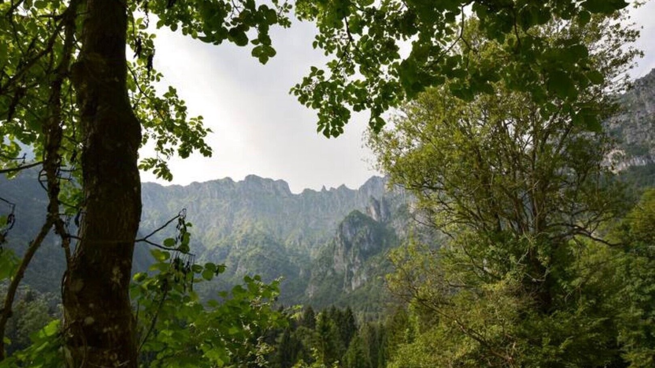 Photo of Outdoor in Feltre