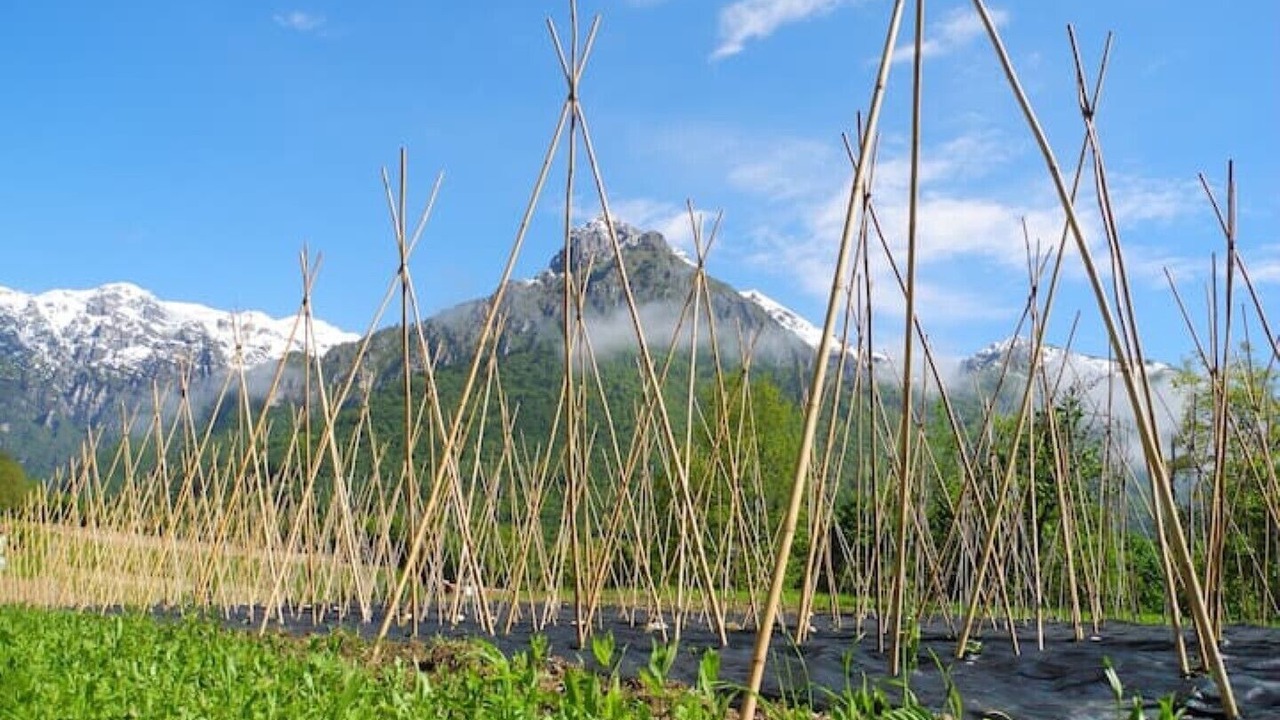 Photo of Outdoor in Feltre