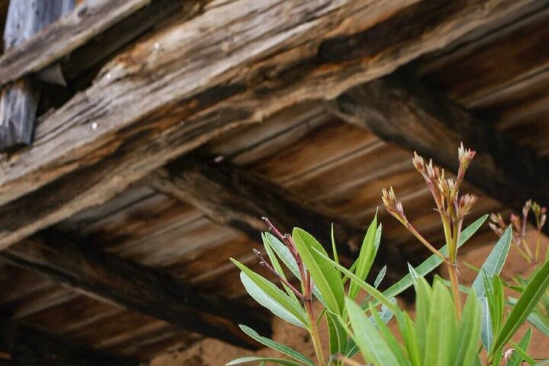 Photo of Outdoor in Feltre