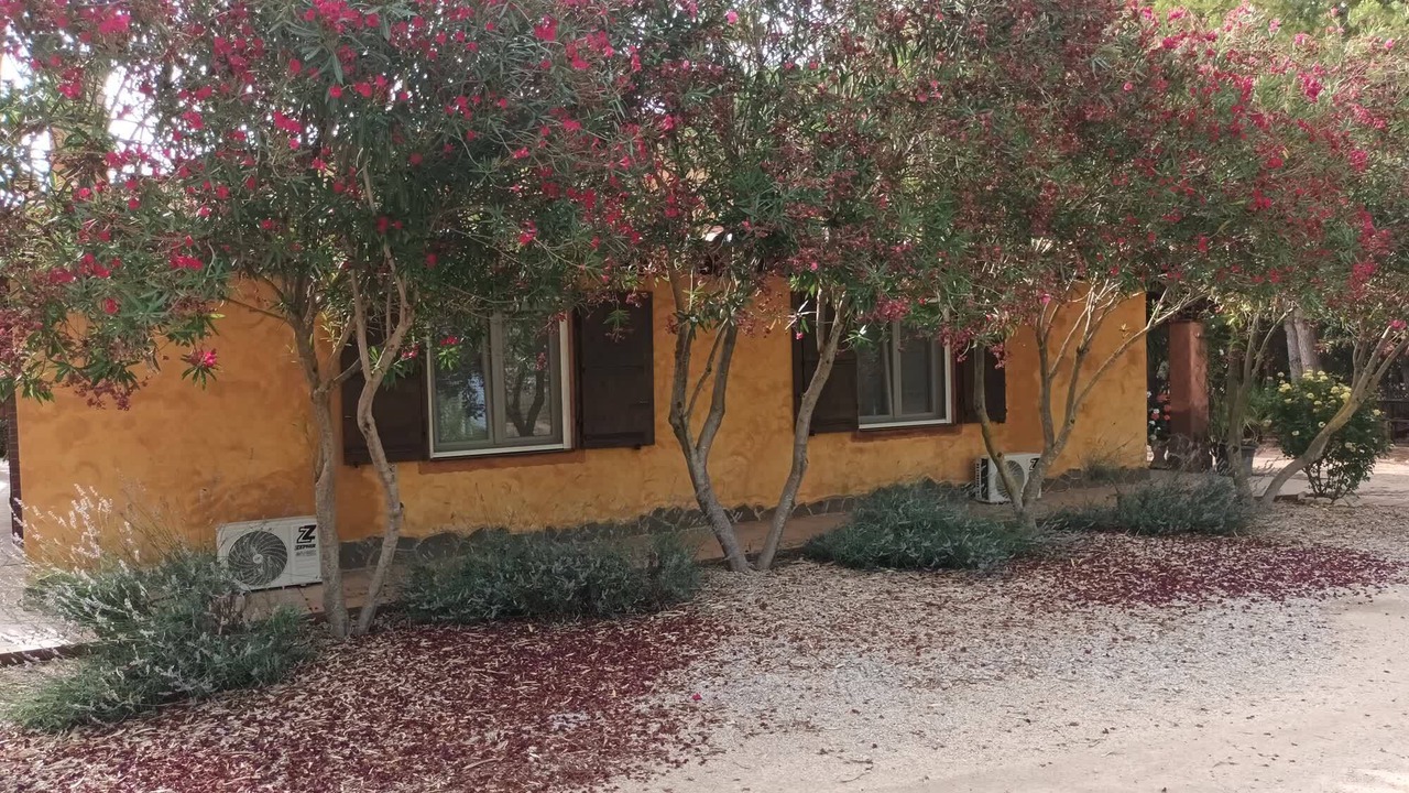 Photo of Outdoor in Olmedo