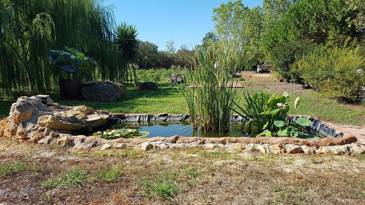 Photo of Outdoor in Olmedo