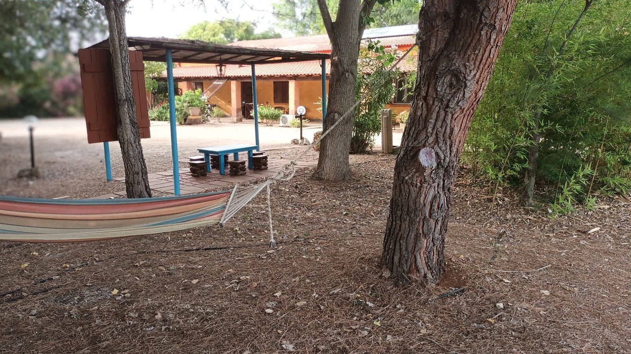 Photo of Outdoor in Olmedo