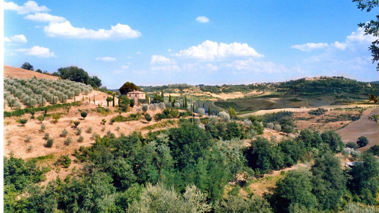 Photo of Outdoor in Montefollonico