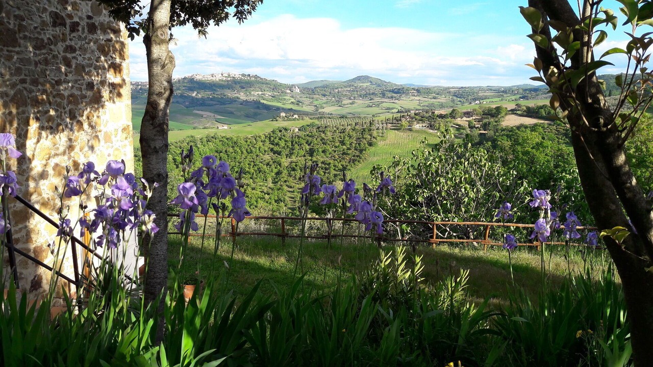 Photo of Outdoor in Montefollonico