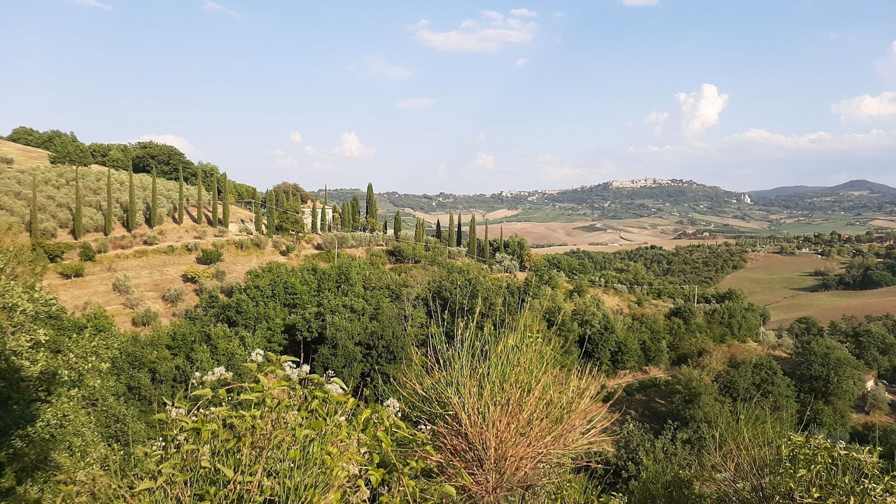Photo of Outdoor in Montefollonico