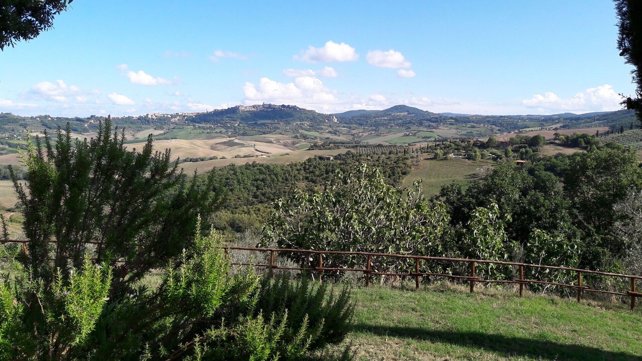 Photo of Others in Montefollonico