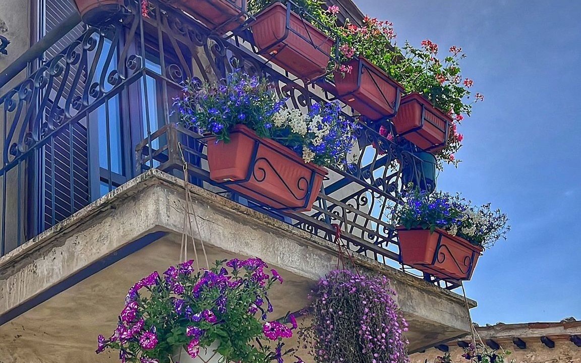 Photo of Outdoor in Arrone