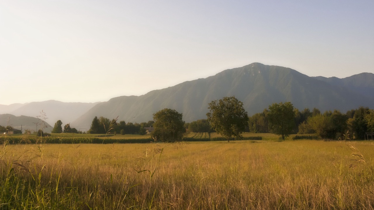 Photo of Outdoor in Pedavena