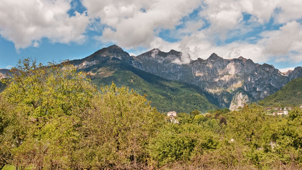 Photo of Others in Pedavena