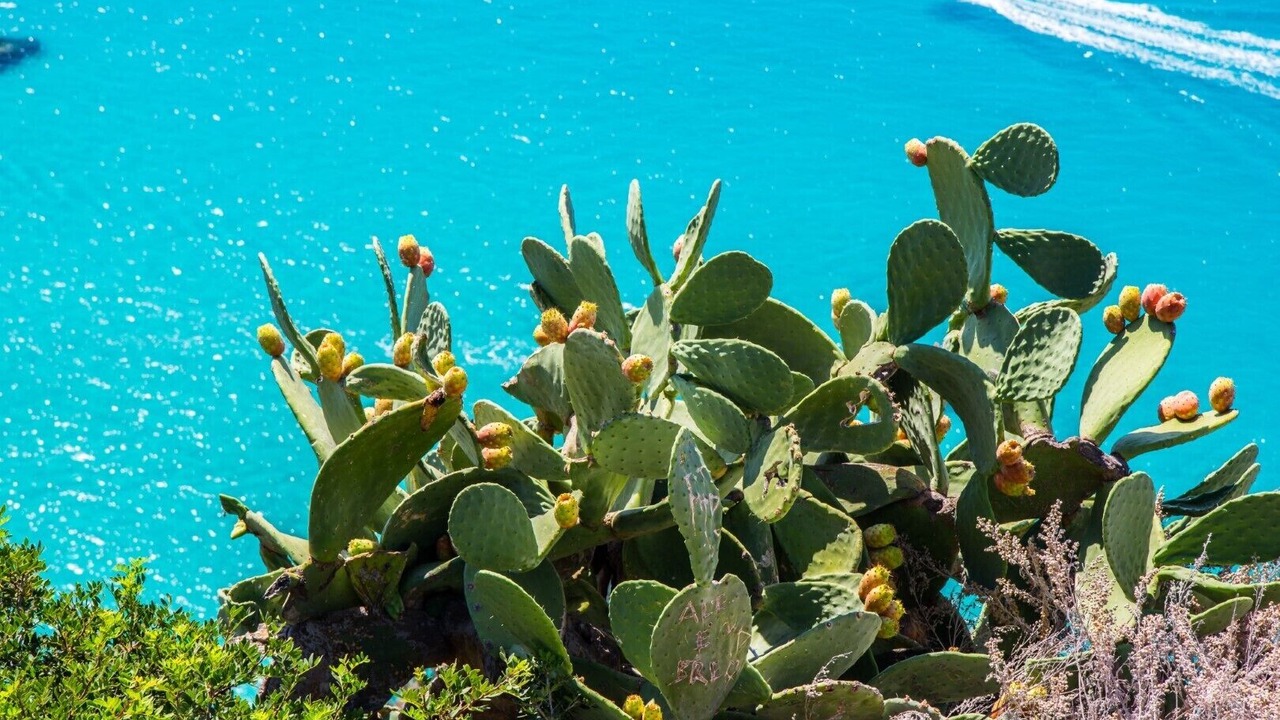Photo of Outdoor in Isola di Capo Rizzuto