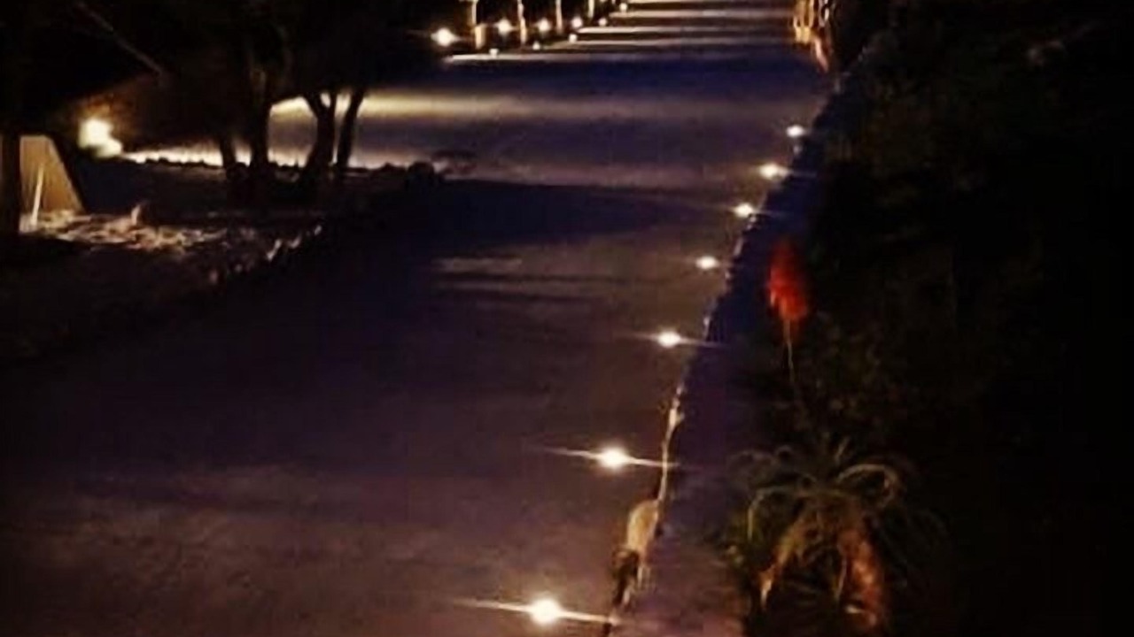 Photo of Outdoor in Palau