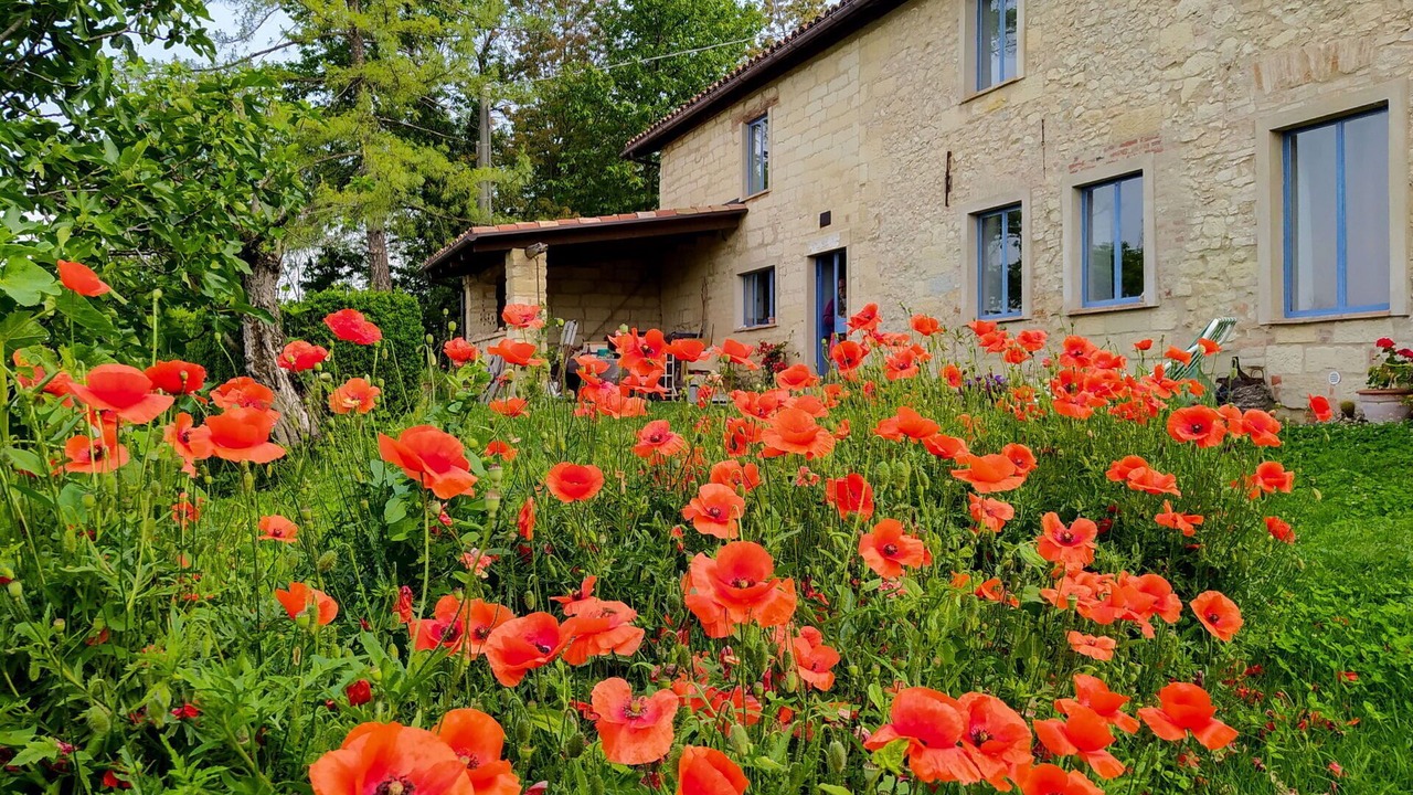 Photo of Outdoor in Grazzano Badoglio