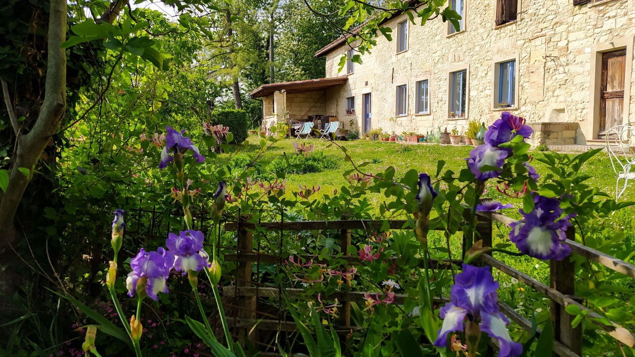 Photo of Outdoor in Grazzano Badoglio
