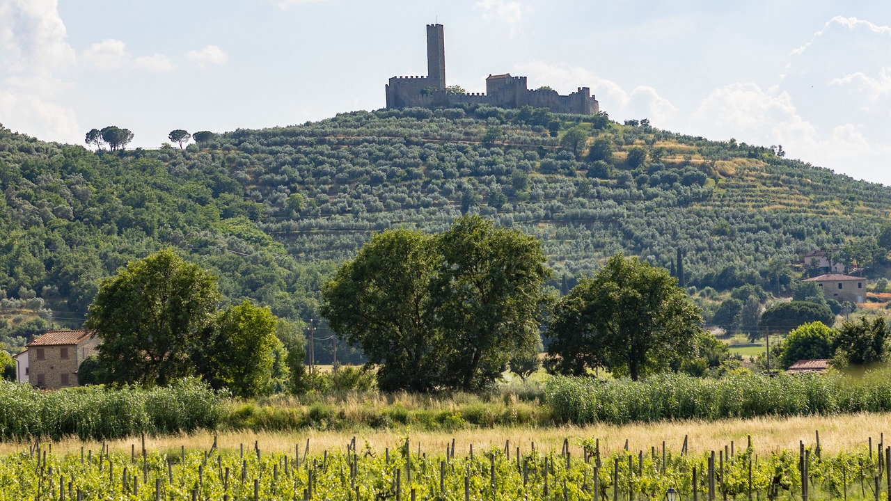 Photo of Others in Castiglion Fiorentino