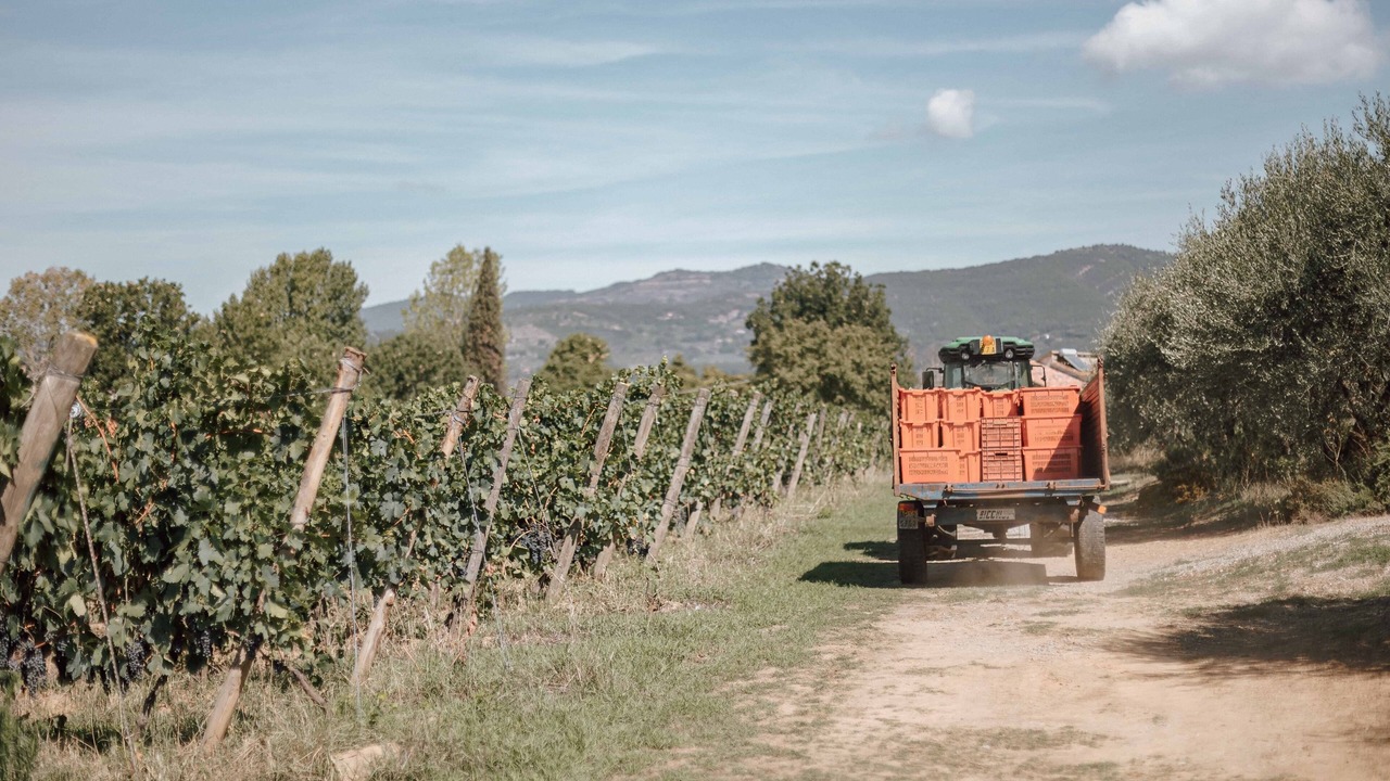 Photo of Others in Castiglion Fiorentino