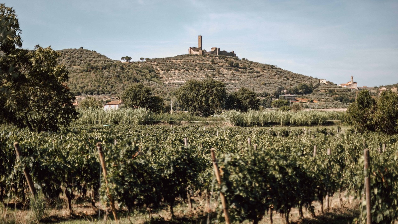Photo of Others in Castiglion Fiorentino