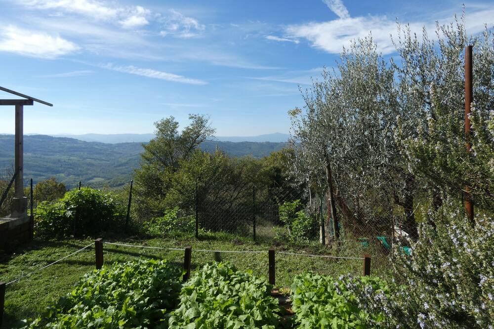 Photo of Outdoor in Parrano